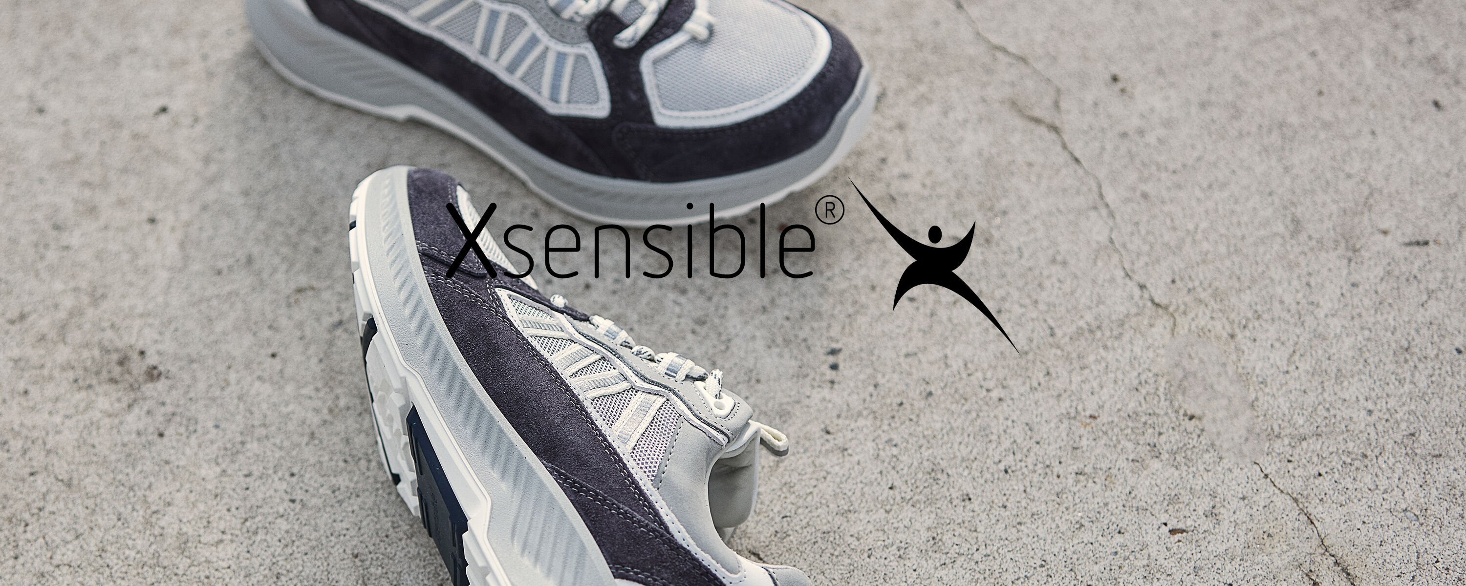 XSENSIBLE online kopen Morgen in huis Assem