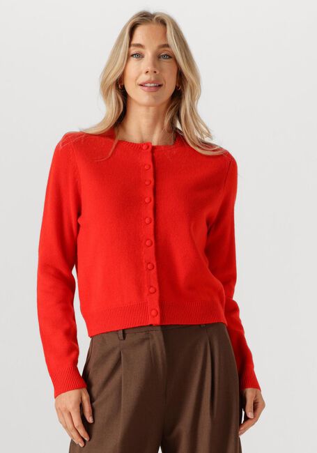 Rode SUNCOO Vest GESKI - large