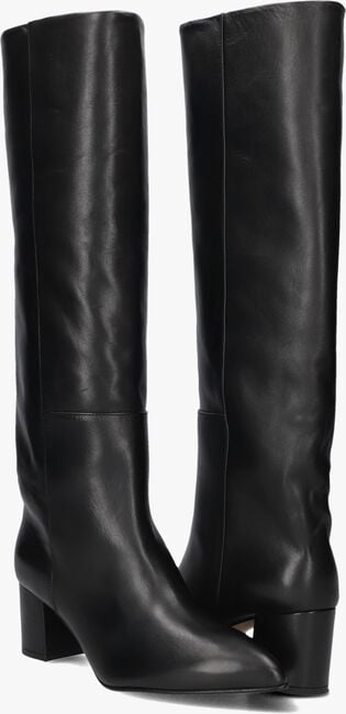 TORAL 12776 TORAL 12776 - large