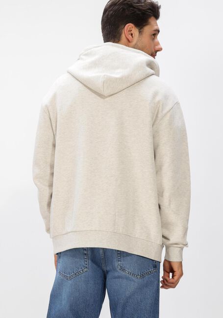 Grijze FLANEUR Vest SIGNATURE ZIP-UP HOODIE - large