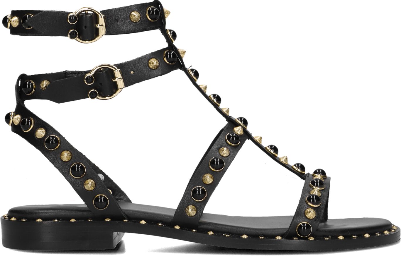 Ash Sandalen
Dames Passion, Maat: 39, Materiaal: Leer, Kleur: Zwart