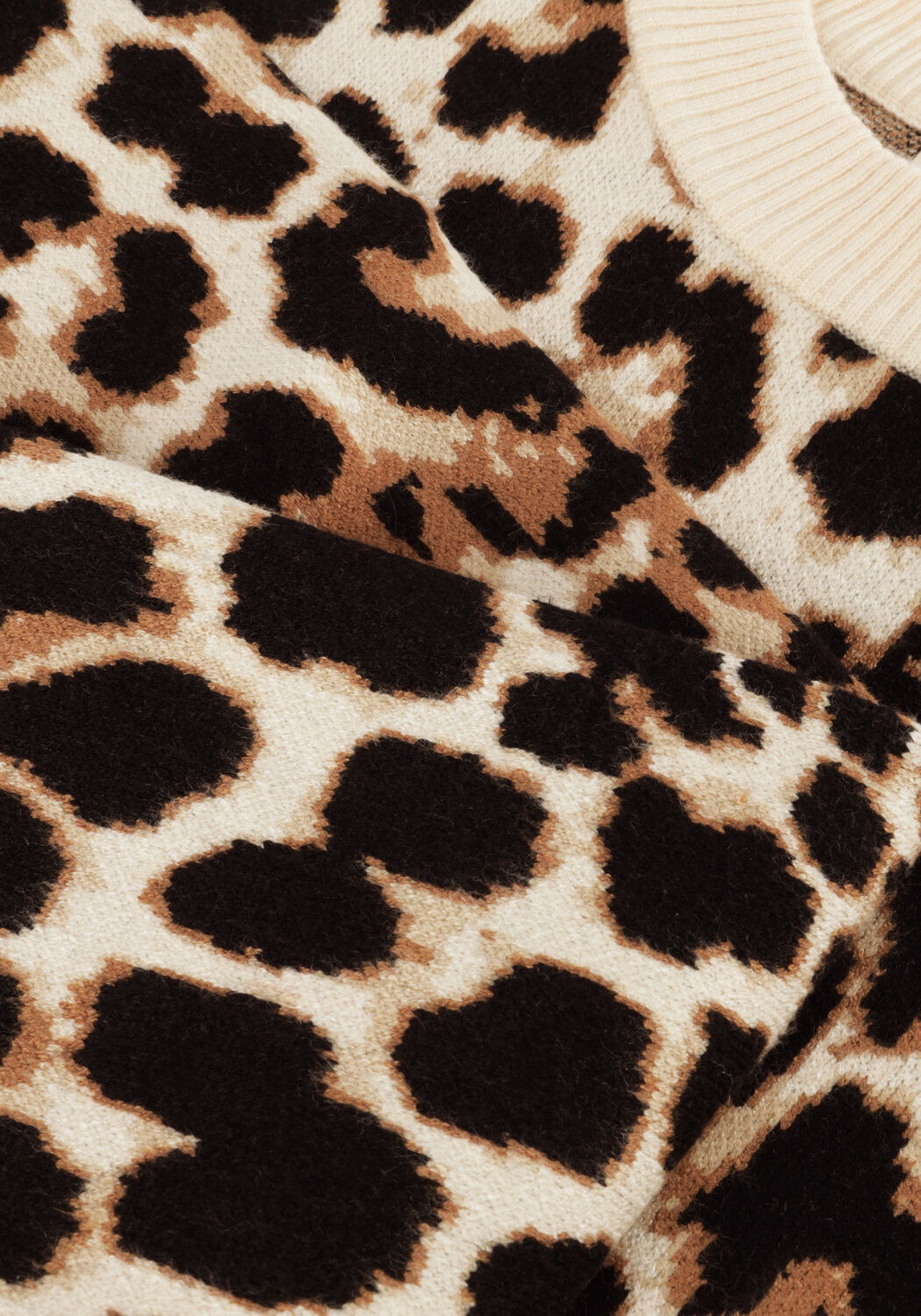 Camel SUNCOO Trui PALEO - large