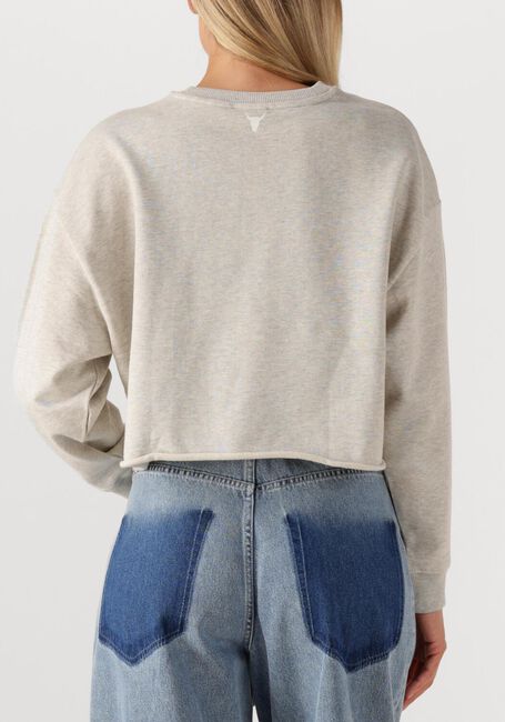 Lichtgrijze ALIX THE LABEL Trui LADIES KNITTED SOFT SWEATER - large