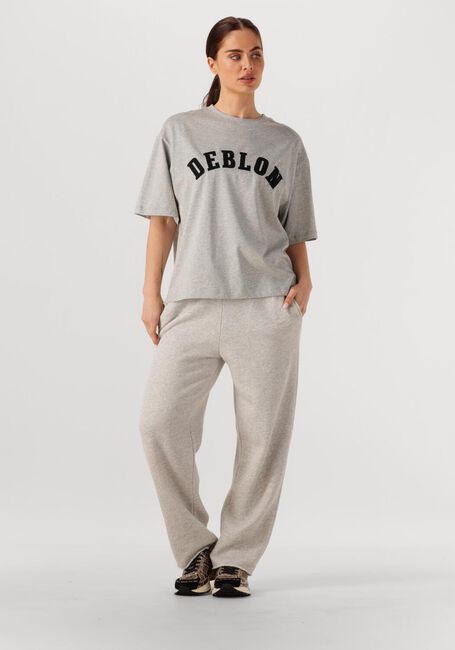 Lichtgrijze DEBLON SPORTS T-shirt LOU T-SHIRT - large