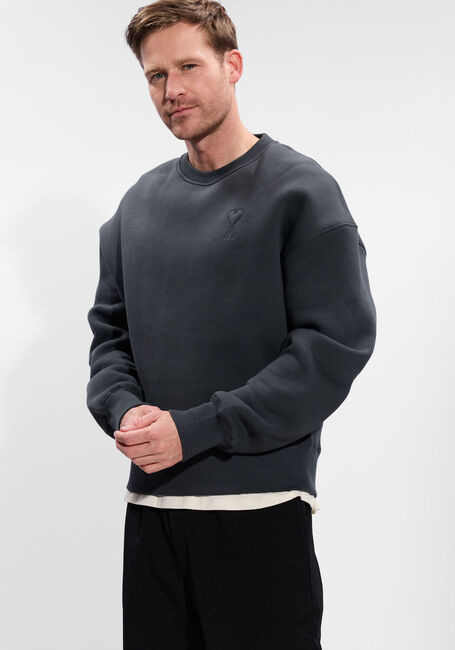 Donkergrijze AMI PARIS Trui EMBOSSED SWEATSHIRT - large