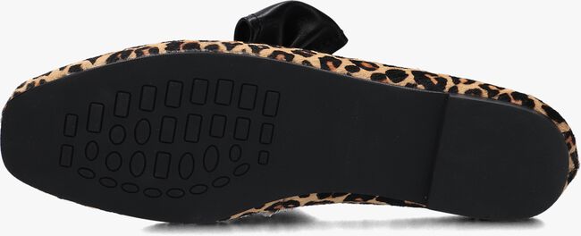 Bruine STEFANO LAURAN Ballerina's BAILARINA LAZO Bruine STEFANO LAURAN Ballerina's BAILARINA LAZO - large