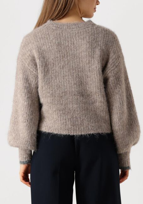 Bruine CO'COUTURE Truien/vesten CORALEE CROP KNIT - large