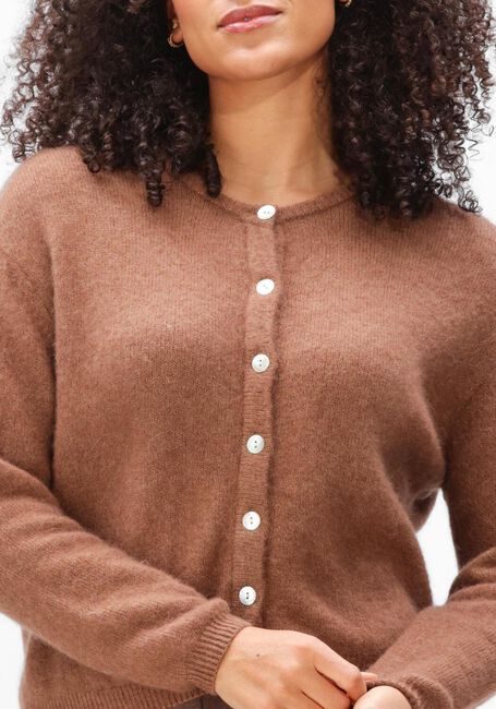 Bruine AMERICAN VINTAGE Trui VITOW - large