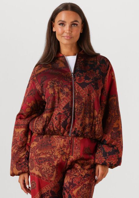 Multi AMAYA AMSTERDAM Jack FAITH - large