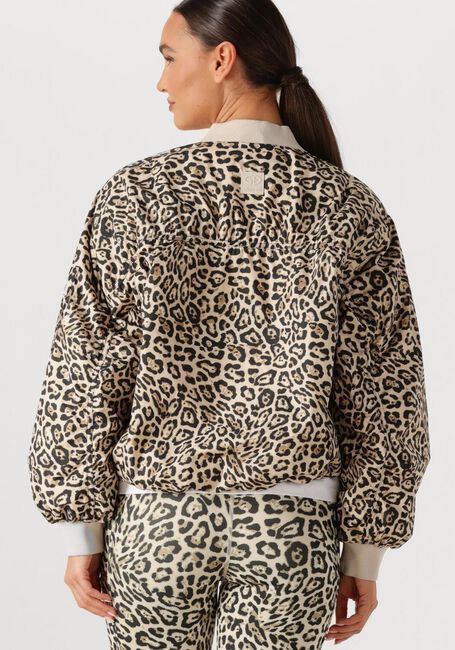 Multi GOLDBERGH Jack ZEPHYR JACKET - large