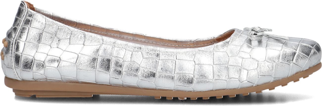 Ayana Ballerina
Dames 1261, Maat: 34, Materiaal: Suède, Kleur: Zilver