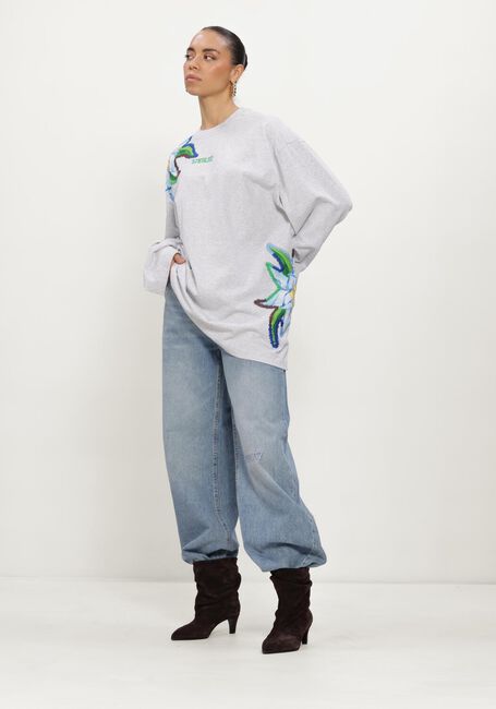 Grijze STIEGLITZ Truien/vesten ELIZA - large