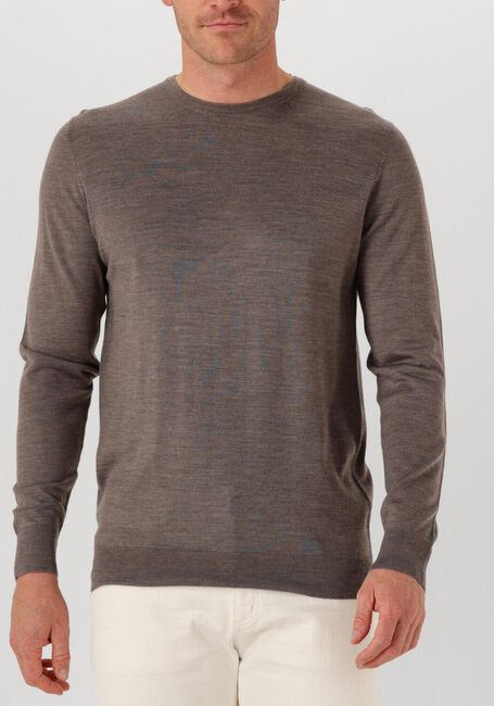 Bruine PROFUOMO Trui PULLOVER CREWNECK MERINO - large