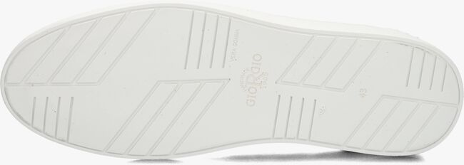 GIORGIO 13781 GIORGIO 13781 - large