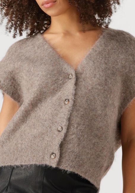Taupe KNIT-TED Spencer CONSTANCE - large