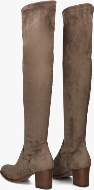 Taupe LAMICA Laarzen EQUILIA 4157 Taupe LAMICA Laarzen EQUILIA 4157 - large