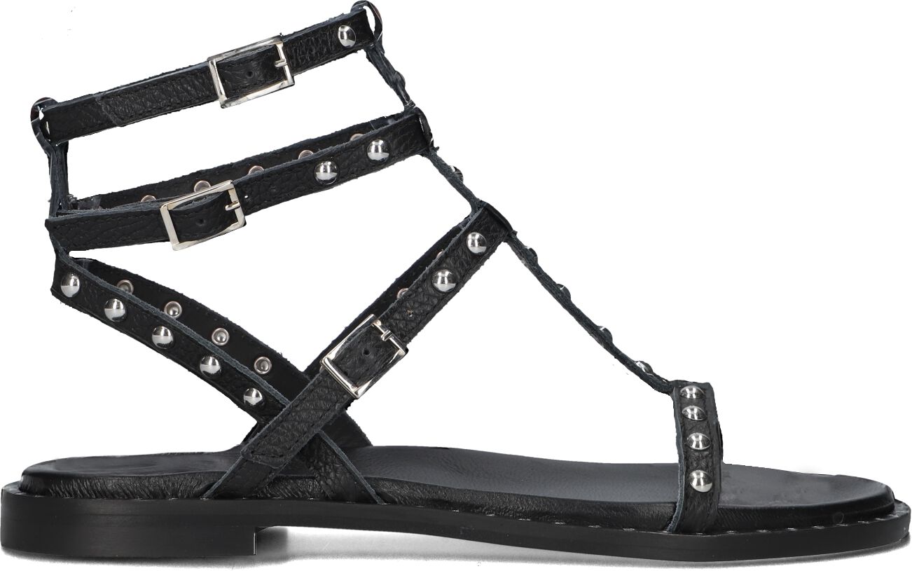 Stefano Lauran Dames 24202