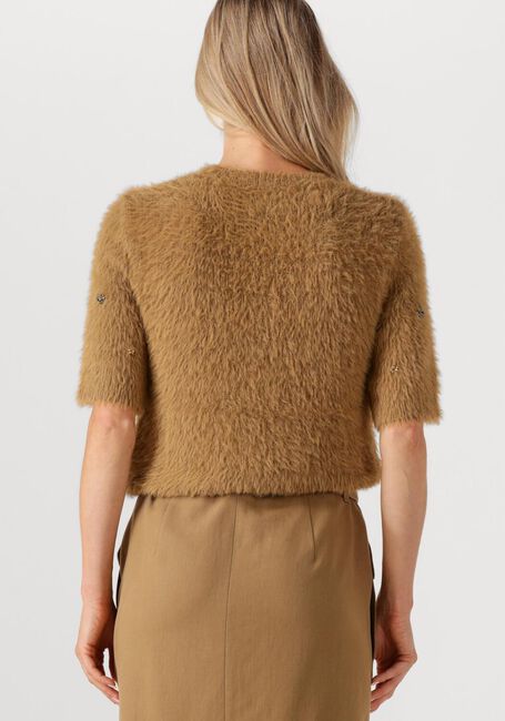 Camel LUISA CERANO Trui 128670/5349 - large