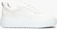 BLASZ ANEMONE-09 BLASZ ANEMONE-09 - medium