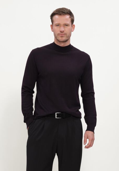 Bordeaux STEFANO LAURAN Trui TURTLE NECK MERINO - large