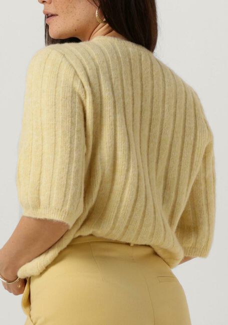 Gele GESTUZ Trui ALPHA TEE - large