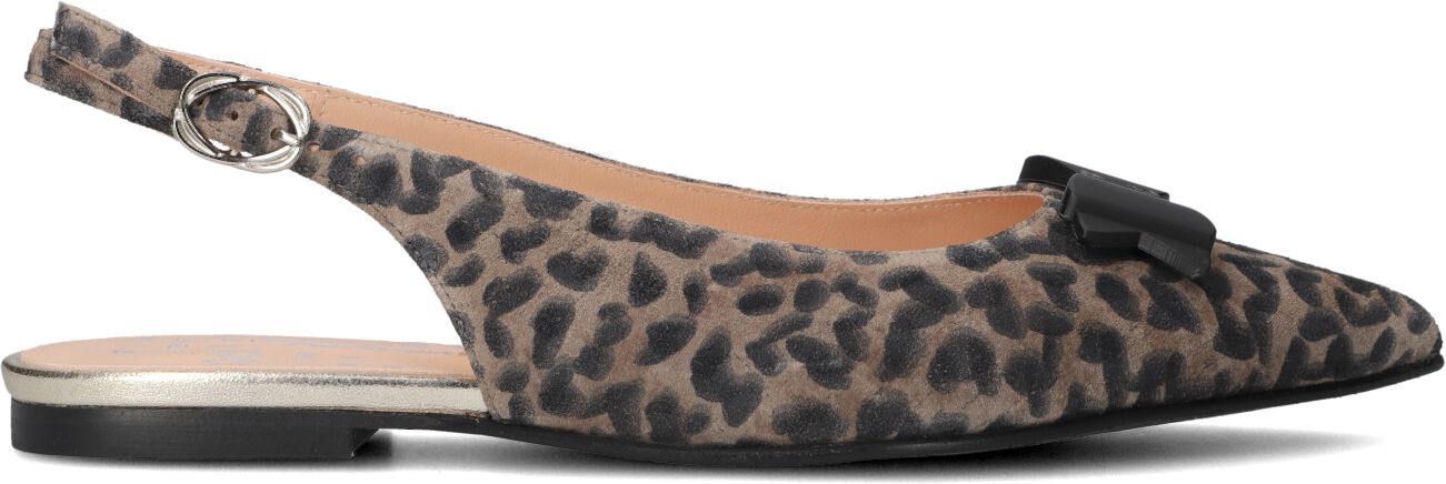 Floris van Bommel Slingbacks
Dames Sfw-40050, Maat: 36, Materiaal: Suède, Kleur: Bruin
