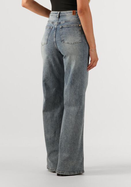 Lichtblauwe JANICE Straight leg jeans MASON - large