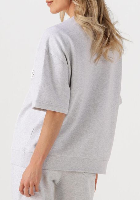 Grijze DEBLON SPORTS Top LARA - large
