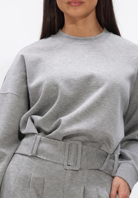Grijze CO'COUTURE Truien/vesten LANCE BELT SWEAT - large