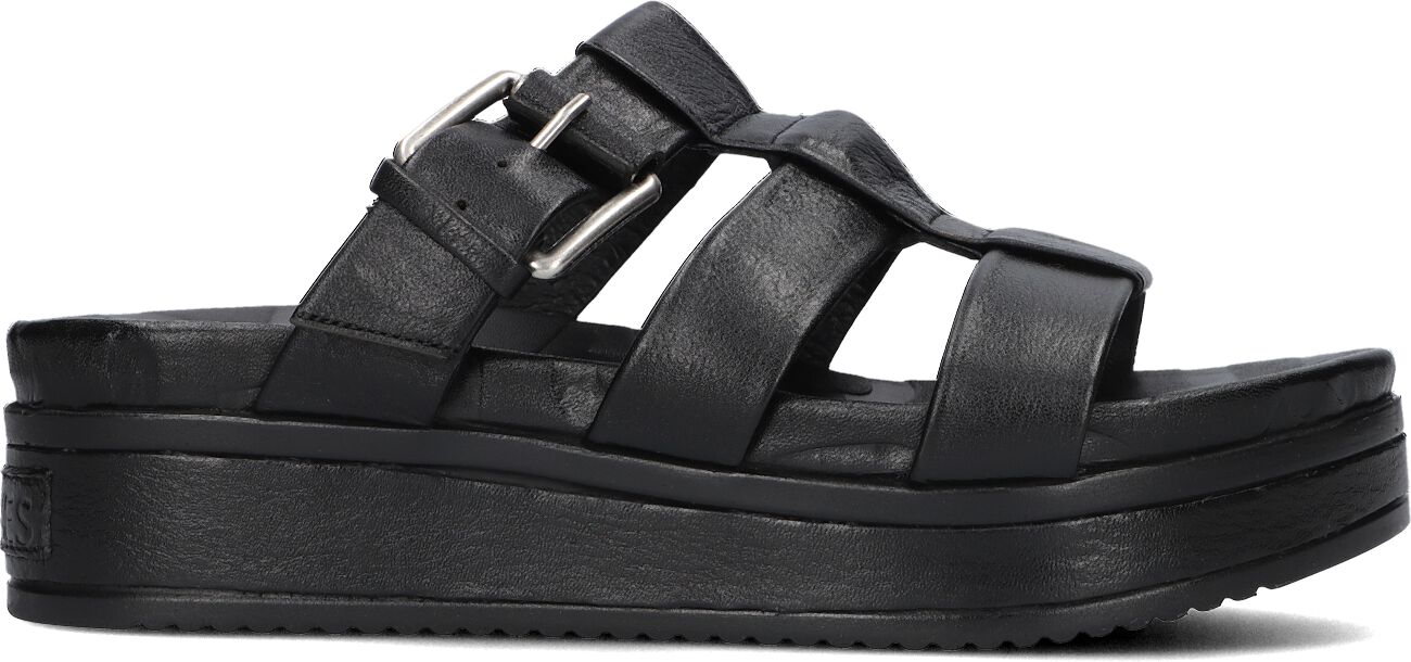 Shabbies Slippers
Dames 170020404 Shs1406, Maat: 41, Materiaal: Leer, Kleur: Zwart