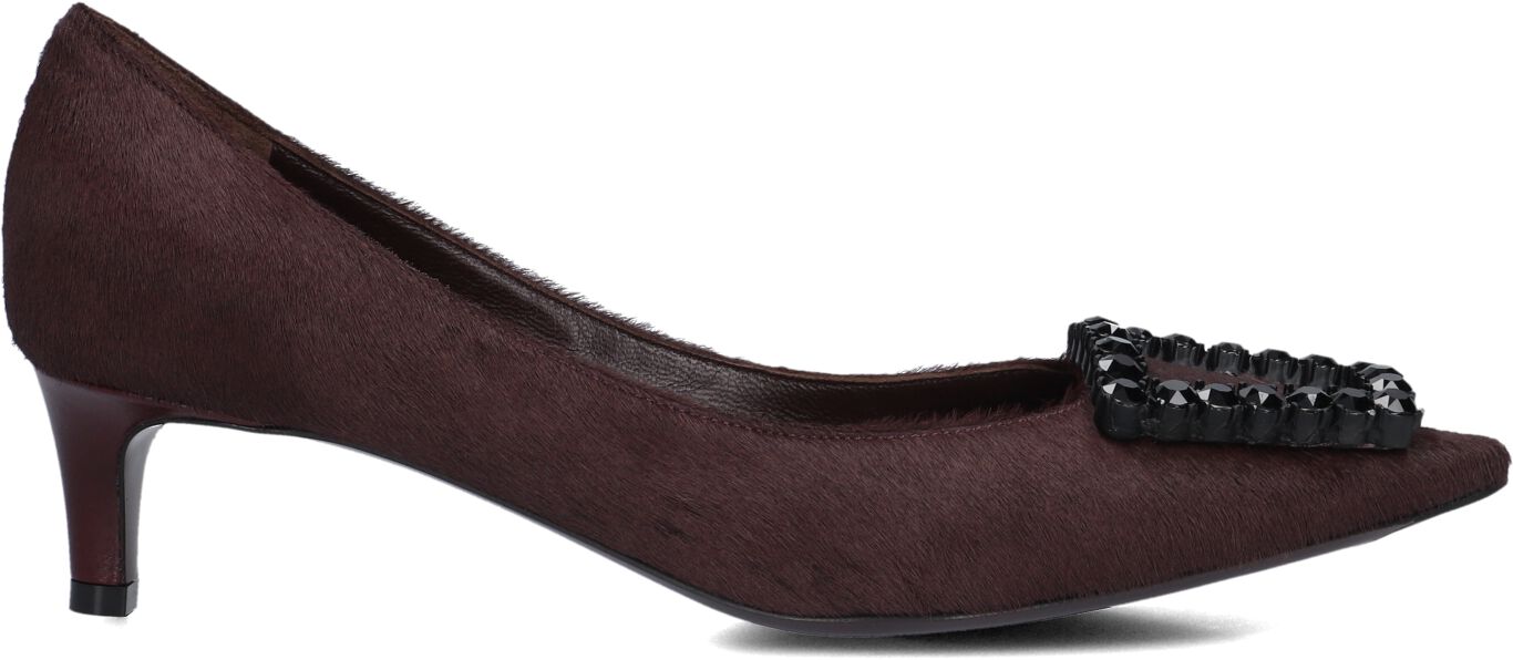 Roberto Festa Pumps Dames Lolita