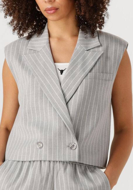 Lichtgrijze ALIX THE LABEL Gilet LADIES WOVEN PINSTRIPE WAISTCOAT - large