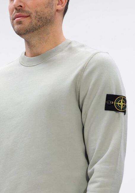 Groene STONE ISLAND Sweater SWEATSHIRT S0051 - large