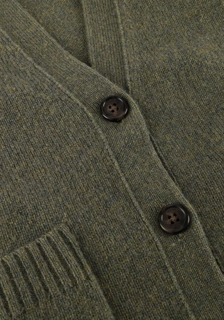 Groene RALPH LAUREN Vest VN CARDIGSN-LONG SLEEVE-CARDIGAN - large