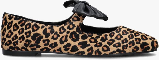 Bruine STEFANO LAURAN Ballerina's BAILARINA LAZO Bruine STEFANO LAURAN Ballerina's BAILARINA LAZO - large