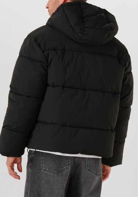 Zwarte BRAM'S FRUIT Gewatteerde jas HOODED PUFFER JACKET - large