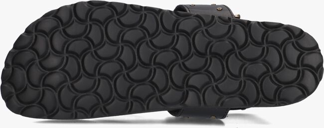 Zwarte LINA LOCCHI Sandalen LED TEENSLIP SANDAAL MET STUDS Zwarte LINA LOCCHI Sandalen LED TEENSLIP SANDAAL MET STUDS - large