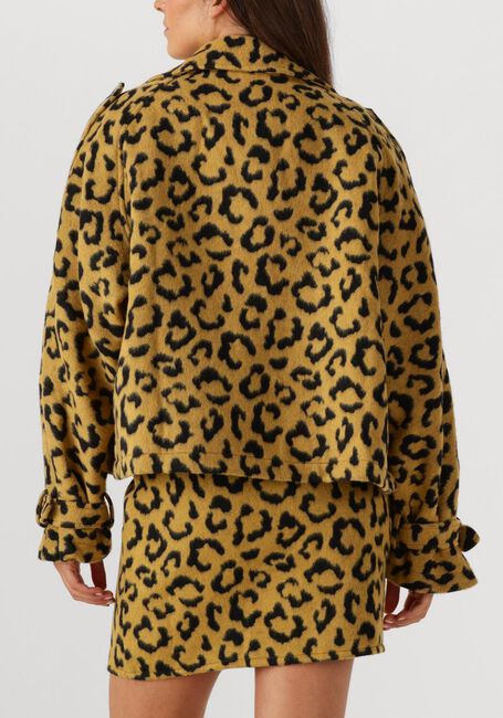 Oker AMAYA AMSTERDAM Jack LOTUS - large
