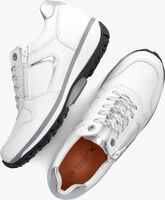 Witte XSENSIBLE Lage sneakers JERSEY - medium