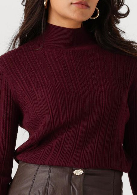 Bordeaux CAROLINE BISS Trui 4200 - large