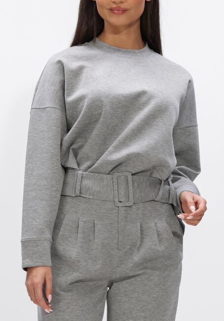 Grijze CO'COUTURE Truien/vesten LANCE BELT SWEAT - large