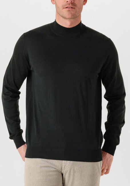 Groene FILIPPO DE LAURENTIIS Trui LUPETTO ML R.MERINO - large