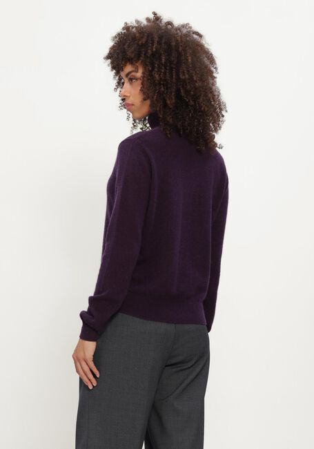 Paarse ABSOLUT CASHMERE Trui THEMYS - large