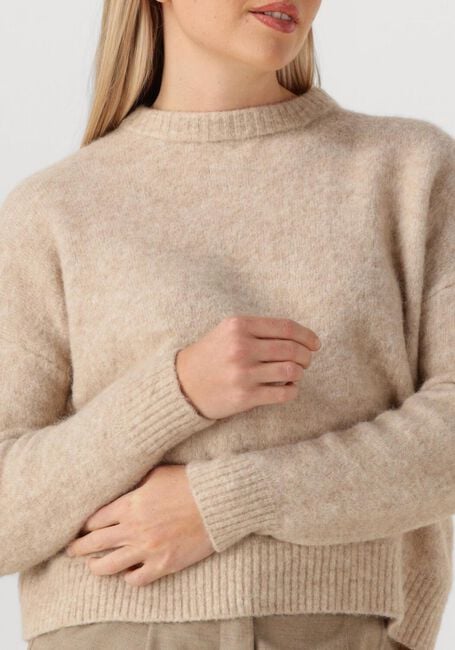 Beige MAX MARA Trui TUONO - large