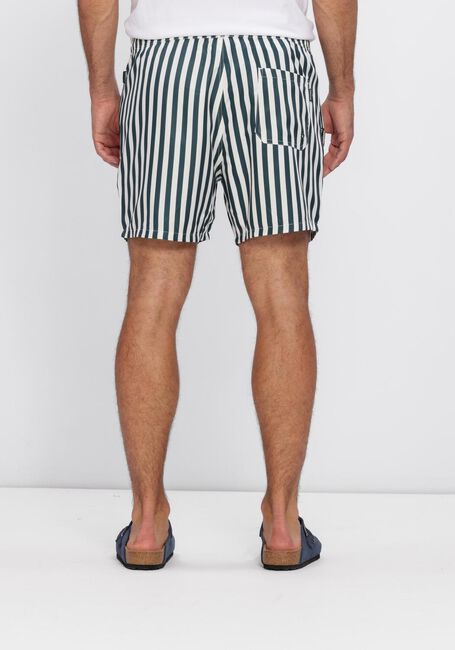 Multi POCKIES Zwembroeken STRIPE SHORTIES - large