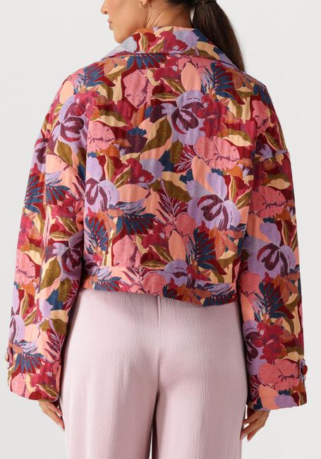 Multi AMAYA AMSTERDAM Jack 261-42 - large