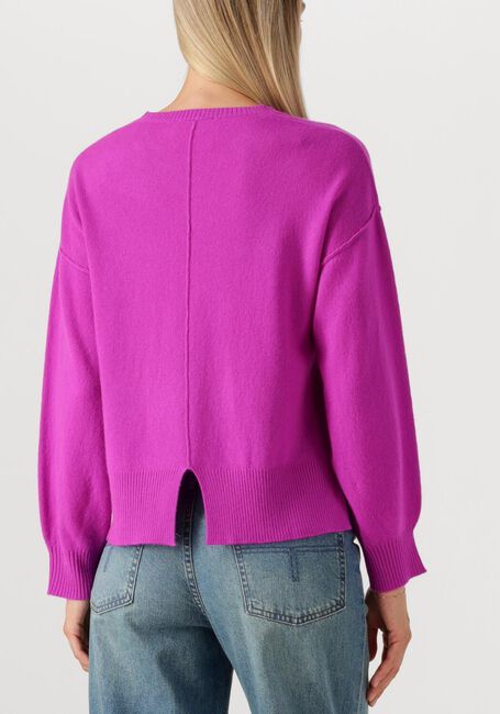 Paarse ABSOLUT CASHMERE Truien/vesten CATERINA - large