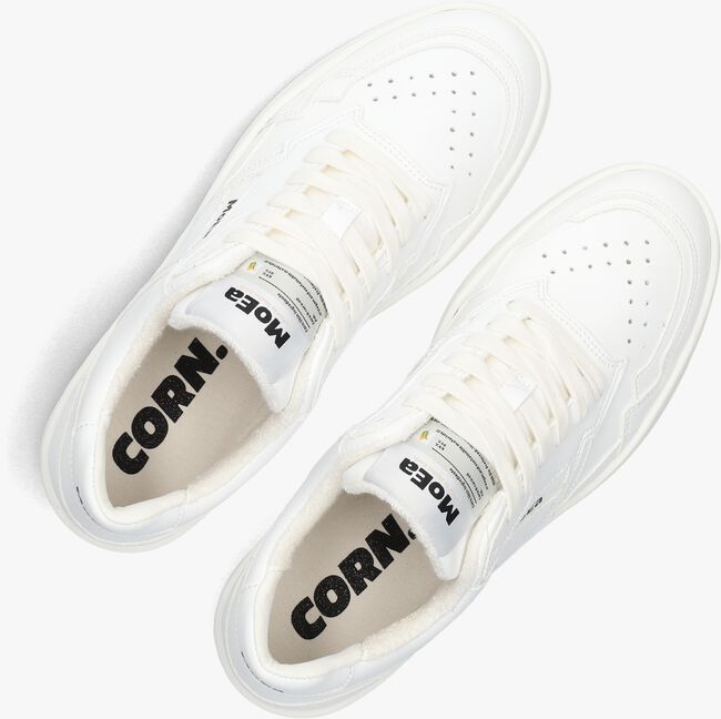 MoEa MOEA-BASGN1 MoEa MOEA-BASGN1 - large