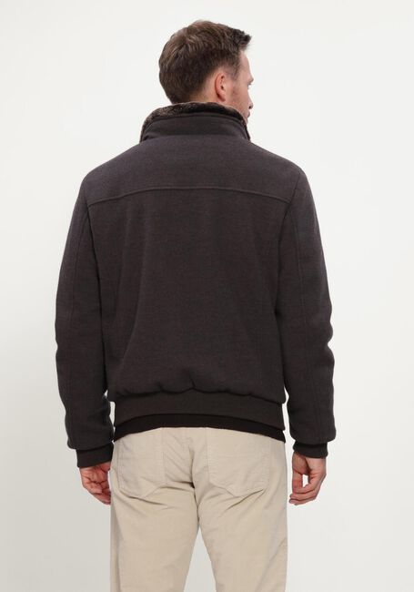 Bruine MOORER Jack BELLATI-MRW - large