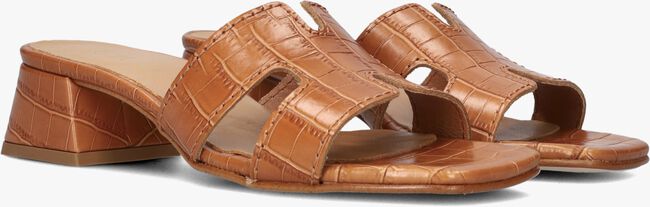 Bruine NOTRE-V Muiltjes AS-16621 Bruine NOTRE-V Muiltjes AS-16621 - large